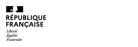 FEI+