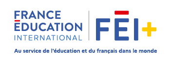FEI+